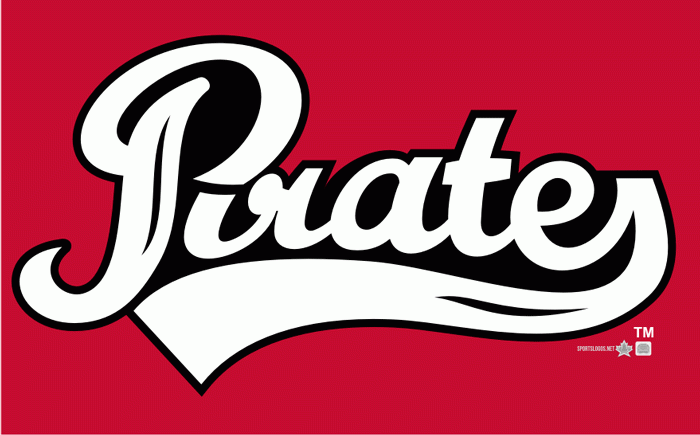 Portland Pirates 2010 11 Wordmark Logo iron on transfers for clothing